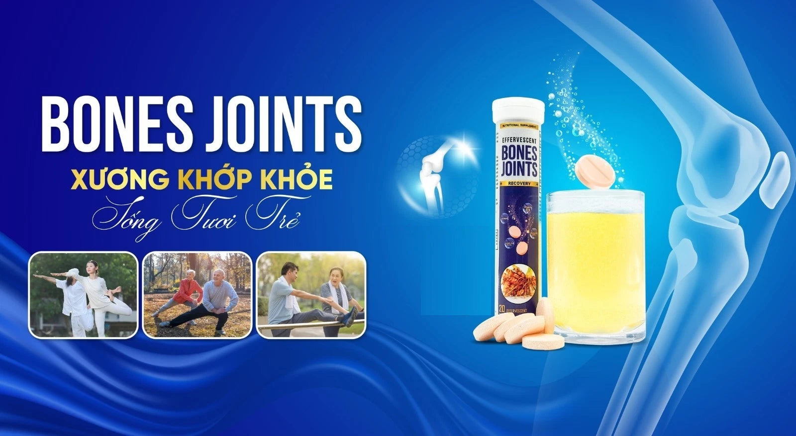 Bones Joints